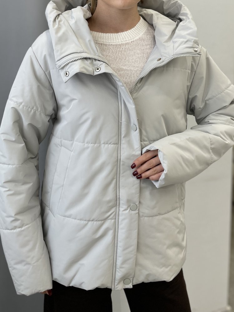 Куртка с капюшоном (демисезонная) 72460305\485